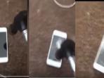 seorang-pria-mencoba-menguji-ketahanan-layar-iphone-dengan-memukulkannya-dengan-menggunakan-palu_20160419_180052.jpg