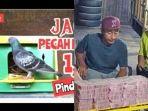 tangkap-layar-viral-merpati.jpg