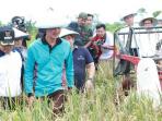 walikota-palembang-harnojoyo-saat-panen-raya-padi-sawah-lebak-di-kelurahan-sei-selincah_20160324_141252.jpg