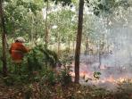 warga-dan-petugas-bpbd-padamkan-api-di-kebun-karet-warga-desa-jerambah-besi-minggu-18102015_20151018_202550.jpg