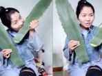 zhang-memakan-tumbuhan_20170701_192411.jpg