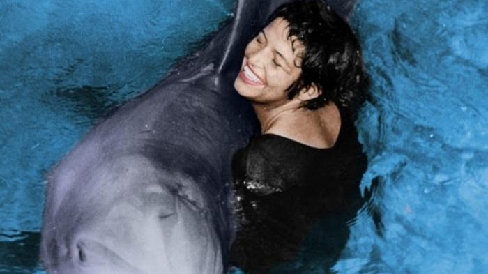 Peter, Lumba-Lumba Enam Tahun Yang Jatuh Cinta Pada Manusia