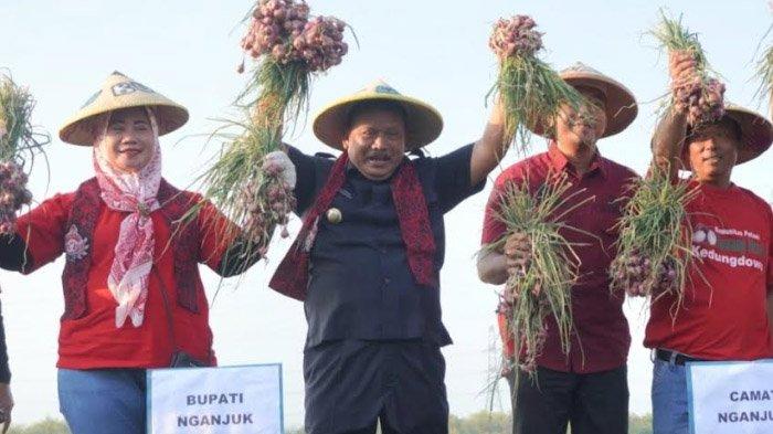 Harga Jatuh Saat Panen di Sentra Bawang Merah, Bupati Nganjuk Dorong Petani Dirikan Koperasi