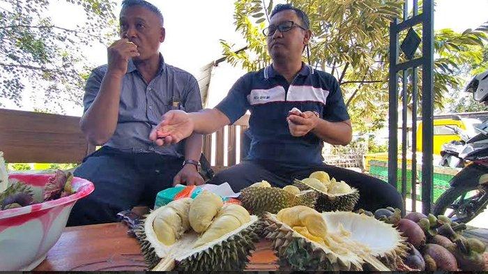Mengenal Durian Kawuk Khas Kabupaten Madiun, Durian Bertekstur Lembut dan Cita Rasa Creamy