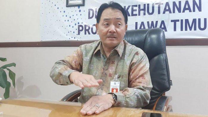 Jawa Timur Akan Mendapat Tambahan 270 Ribu Hektare Lahan Perhutanan Sosial