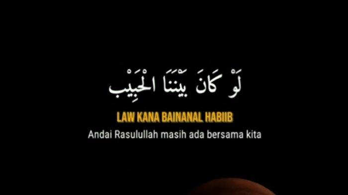 Lirik Lagu Lau Kana Bainanal Habib, Dilengkapi Terjemahan