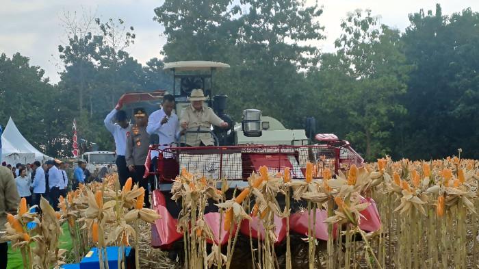PANEN JAGUNG – Presiden RI Prabowo Subianto memanen jagung saat menghadiri Panen Raya Jagung Serentak Kuartal II di Desa Tuwiri Wetan, Kecamatan Merakurak, Kabupaten Tuban, Jawa Timur, Sabtu (16/5/2026).