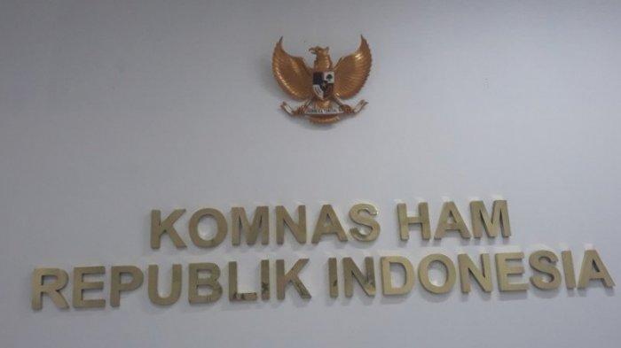 REAKSI Komnas HAM Setelah TNI Terapkan Siaga Tempur Hadapi KKB Papua, Ingatkan Hal Ini Ke Aparat