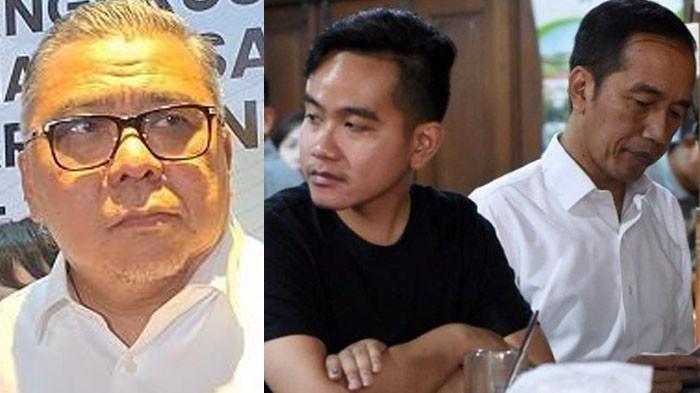 Rekam Jejak Ahmad Ali yang Serukan Kader PSI Bela Jokowi dan Gibran dalam Kasus Tudingan Ijazah Palsu - Surya.co.id
