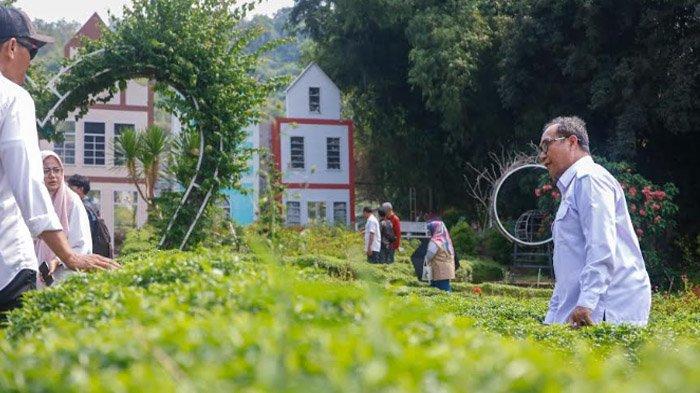 Seleksi CSR dan PDB Awards, Wisata Alam Gosari Gresik Jadi Kandidat Peraih Penghargaan Tertinggi