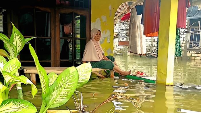 BANJIR LAMONGAN - Luapan Sungai Bengawan Jero yang kian meluas memaksa sedikitnya 520 kepala keluarga di Desa Sidomulyo, Kecamatan Deket, Kabupaten Lamongan, Jawa Timur, hidup dalam kepungan banjir setinggi lutut orang dewasa selama lebih dari satu bulan terakhir, Kamis (22/1/2026). Kondisi ini telah melumpuhkan total aktivitas ekonomi dan sosial warga setempat.