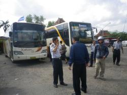 Bus Balik Gratis Diserbu Calon Penumpang