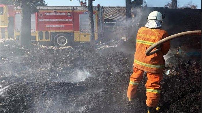 Kebakaran Hancurkan Gudang Barang Bekas di Mojokerto, Diduga Akibat Tersambar Ledakan Korek Api