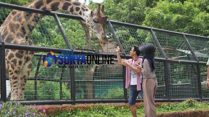 Maharani Zoo & Goa Lamongan