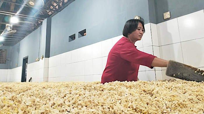 Usai BBM, Kini Harga Kedelai di Lumajang Mulai Ikut Terkerek Naik, Perajin Tempe Meratap