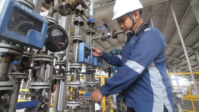 Tahun 2023, Enero Siapkan 1.900 KL Bioetanol Guel Grade Untuk Pertamax Green
