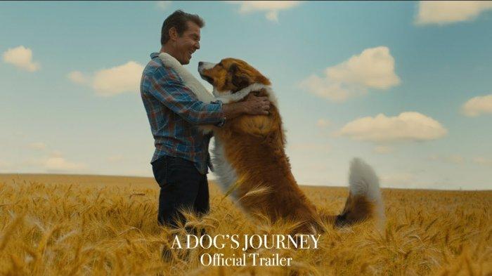 Film A Dog's Journey