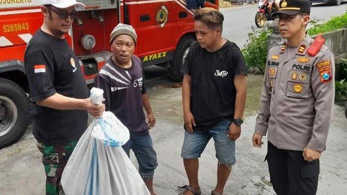 Sadis, Tawon Bikin 4 Ekor Kambing di Mojokerto Mati, Warga Ikut Tersengat Saat Selamatkan Ternaknya