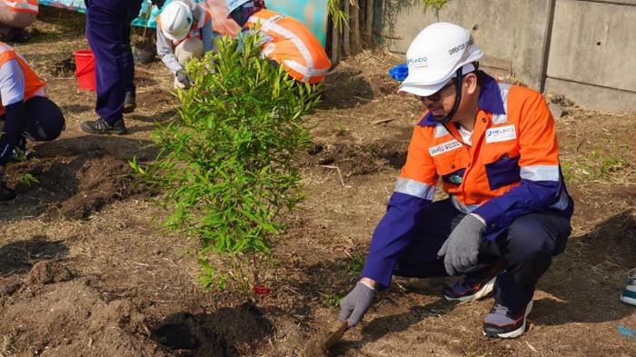 Program High Plantation dan Zero Emission, TPS Berkontribusi Pengurangan Emisi Karbon