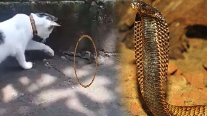 Tasodifan ruslarni sikishdi