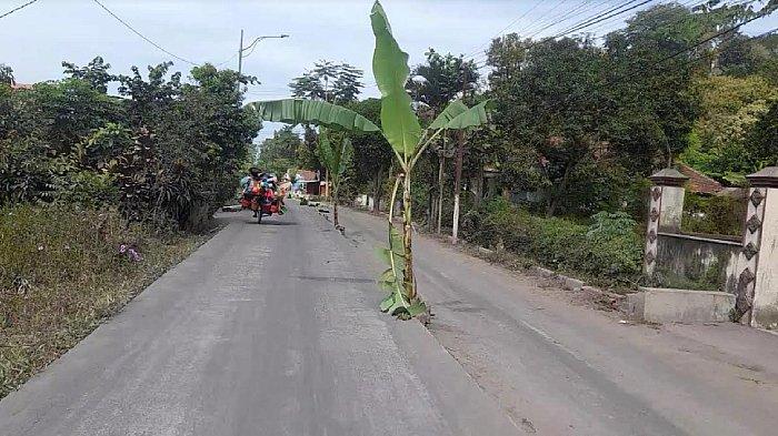Utang Pemkab Lumajang untuk Perbaikan Jalan Rusak Capai Rp 200 Miliar, Sekda Ungkap Hasilnya