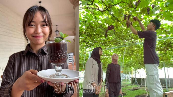 Incip Kopi Anggur Sekaligus Wisata Petik Anggur di Gamma Grape Experience Malang