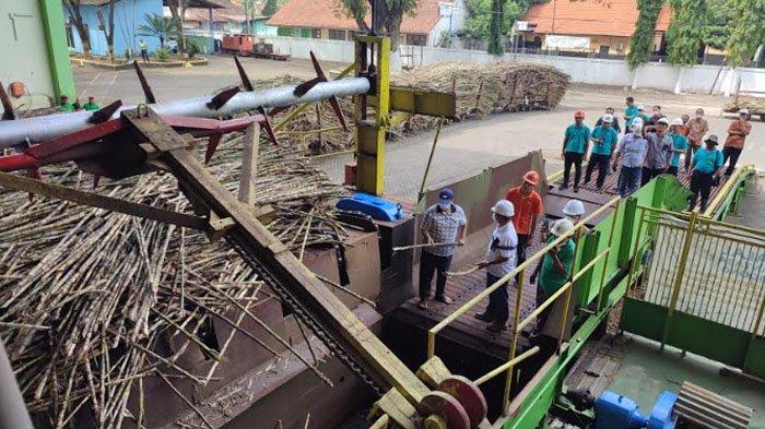 Sembilan Pabrik Gula Milik PTPN X Mulai Memasuki Musim Giling