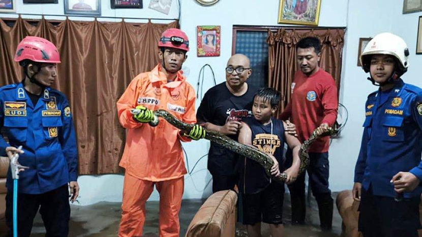 Tribun