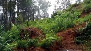Akses-Trenggalek-Tulungagung-Lumpuh-Total-Akibat-Longsor.jpg