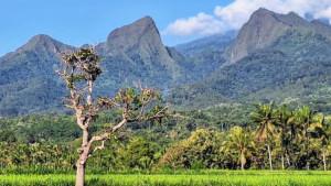 BUKAN-JALUR-PENDAKIAN-Jajaran-Gunung-Piramid-Gunung-Saeng-d.jpg