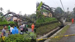 Desa-Modangan-Kecamatan-Nglegok-Kabupaten-Blitar-Senin-27102025-sore.jpg
