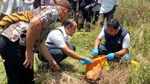 KROINOLOGI-Temuan-Jasad-Bayi-di-Area-Hutan-Jati-Malo-Bojonegoro.jpg