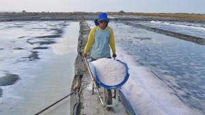 PRODUKSI-GARAM-Pekerja-PT-GARAM-saat-memproduksi-garam-tahun-2025-ini-H.jpg