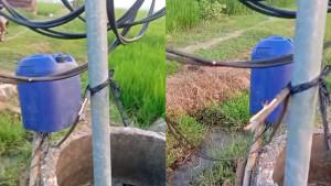 Penampakan-kabel-sibel-yang-sudah-dipotong.jpg