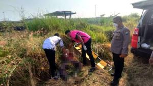 Pencari-Rumput-di-Driyorejo-Gresik-Ditemukan-Sudah-Jadi-Jenazah-dekat-Exit-Tol-Desa-Tenaru.jpg