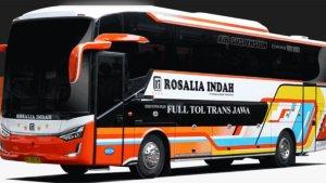 Profil-PO-Rosalia-Indah-yang-Salah-Satu-Busnya-Kecelakaan-di-Tol-Batang-Semarang.jpg
