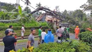SELAMAT-Petugas-gabungan-membersihkan-pohon-tumbang-yang-menimpa-ru.jpg