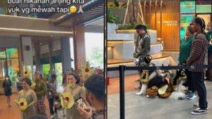 SOSOK-Pemilik-Anjing-yang-Bikin-Pernikahan-Mewah-Adat-Jawa-untuk-Peliharaannya-Habiskan-Rp-200-Juta.jpg