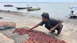 TERASI-KENJERAN-Arifin-65-warga-Kejawan-Lor-Kenjeran-Surab.jpg