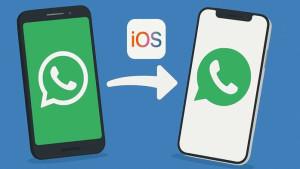 Trik-WhatsApp-Cara-Memindahkan-WA-dari-Android-ke-iPhone-Mudah-dan-Jarang-Diketahui-Orang.jpg