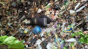 Warga-Lumajang-Geger-Temukan-Jenazah-Penuh-Belatung-di-Tempat-Sampah.jpg
