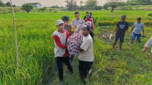 akibat-kesetrum-listrik-jebatan-tikus-Jumat-10102025.jpg