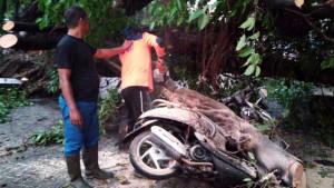 angin-hujan-di-Mojokerto-Raya.jpg