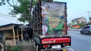 burung-merpati-untuk-dilombakan-dari-Semarang-menuju-Jember.jpg