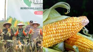 di-Kecamatan-Garum-dan-Kecamatan-Panggungrejo-Kabupaten-Blitar-Sabtu-2792025.jpg
