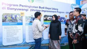 ekspor-udang-Banyuwangi-7.jpg
