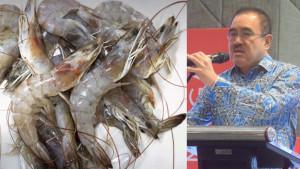 ekspor-udang-ke-Negeri-Paman-Sam-telah-terhenti-selama-lebih-dari-10-hari.jpg