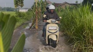 jalan-pisang-Jombang.jpg