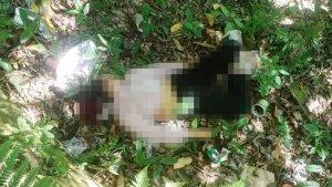 jasad-wanita-asal-Kediri-dibuang-di-jurang-Cangar-Pacet-Mojokerto.jpg