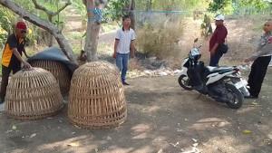 judi-sabung-ayam-Gresik-5.jpg